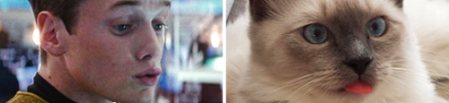 slackerdemonchild:tothestartrek:I don’t know why but I felt absolutely compelled to make these at 4 
