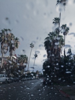 thefifthalex:  Rainy days in Santa Monica