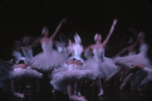 aurelie-dupont:Paris Opera corps de ballet in Nureyev’s Swan Lake Photo © Gueor