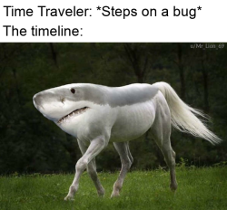 dankmemeuniversity: