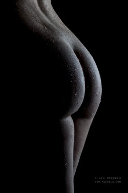 nalggotas:  Nalgas por Elwin Meekels