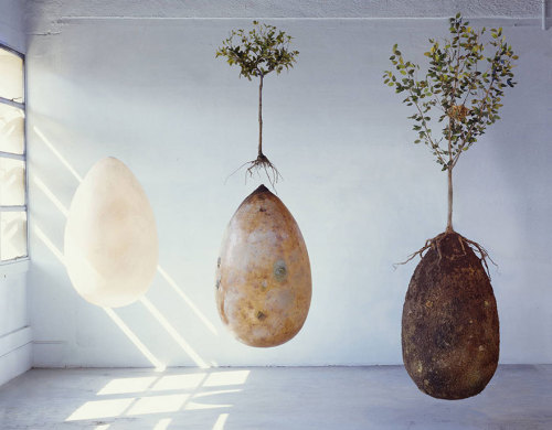 liz-pls:Bye-bye Coffins, Turn Your Loved Ones Into Trees  …I love this concept. owo