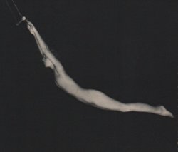 vivipiuomeno1:Fred P Peel - Trapeze, Vintage