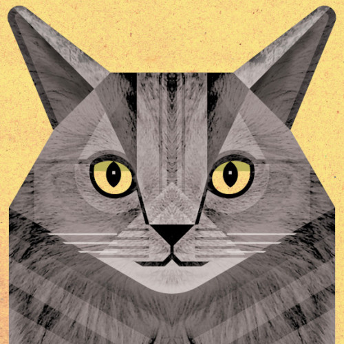 Louie, cat portrait. Digital. 2021