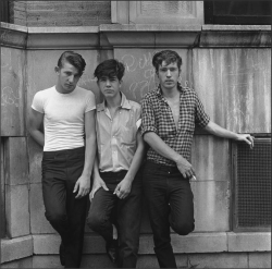 1950Sunlimited:  Three Young Men, 1965 Chicago, Illinois   Photo: Danny Lyon