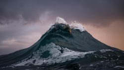 nevver:  Point Break, Ray Collins  D:!!!!