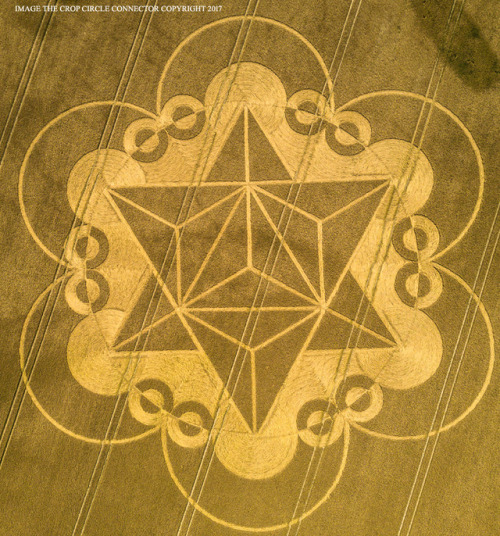 Crop Circle. Cley Hill, Warminster, Wiltshire, England. Reported 18th July 2017. Wow!