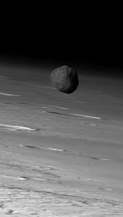 sixpenceee: The larger of Mars’ two moons, Phobos, orbiting in front of Mars. Image via Mars E