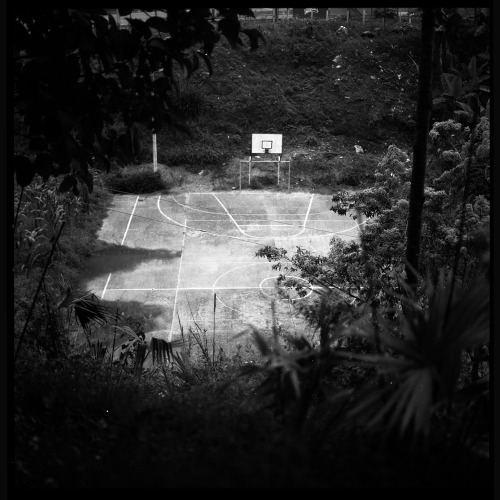 Playground in the jungle