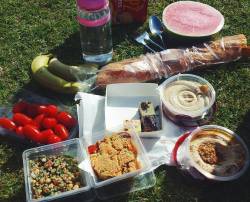 urbanveganstudent:  Vegan picnic noms and
