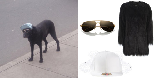 fagmobs: Steal Her Look: Cool Dog Unreal Fur Wanderlust Coat - $323 Piers Atkinson Couture Snapback 