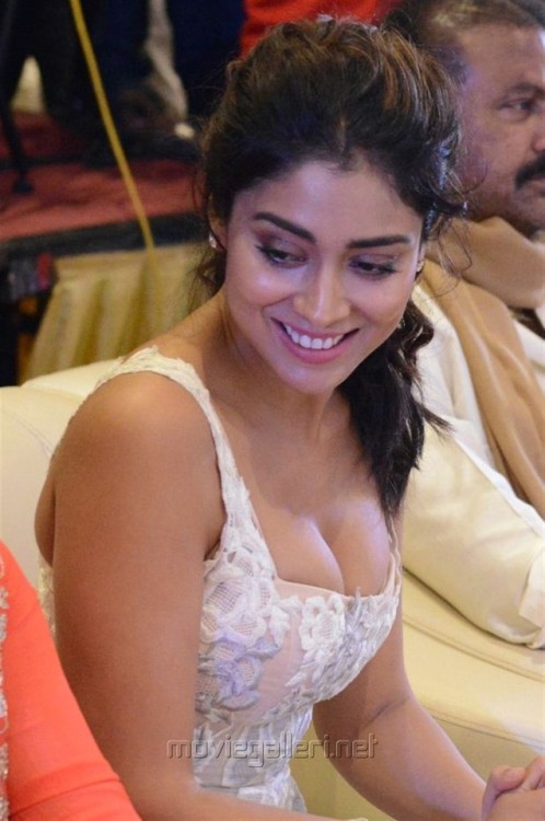 sexy-indian-actress:Shriya Saran#1028 #35520 Followers…Most Beautiful Actress Shriya Saran#111