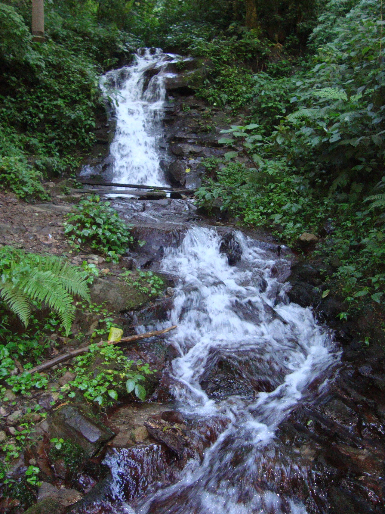 Guatemala en Fotos — Nacimiento de Agua, El Refugio del Quetzal, San...