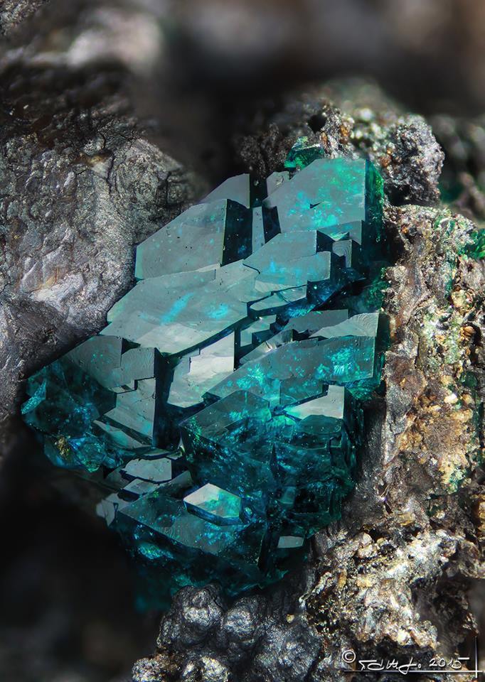 sixpenceee:The above are Veszelyite crystals. They are gorgeous. (Source)
