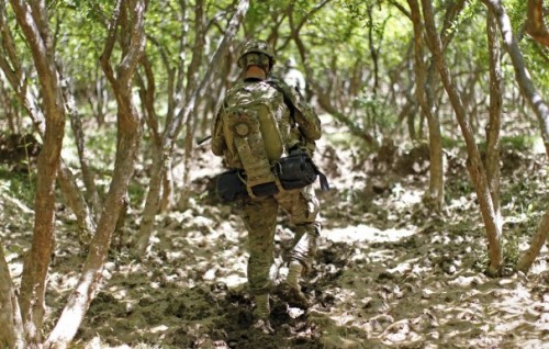 freeafghanistan:  oakapples:  Soldiers in groves of pomegranate trees, Afghanistan. Kandahar was once renowned for the quantity and quality of pomegranate fruit that it exported to foreign markets.  Look at these ugly fuckers polluting Kandahar’s Anaar