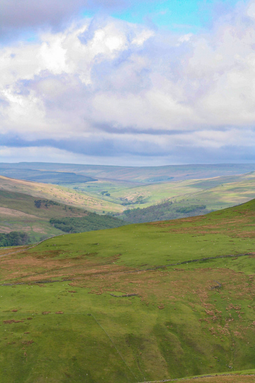 2006: Wharfdale in the Yorkshire Dales. So picturesque, it hurts. Well-exposed limestone bedding fro