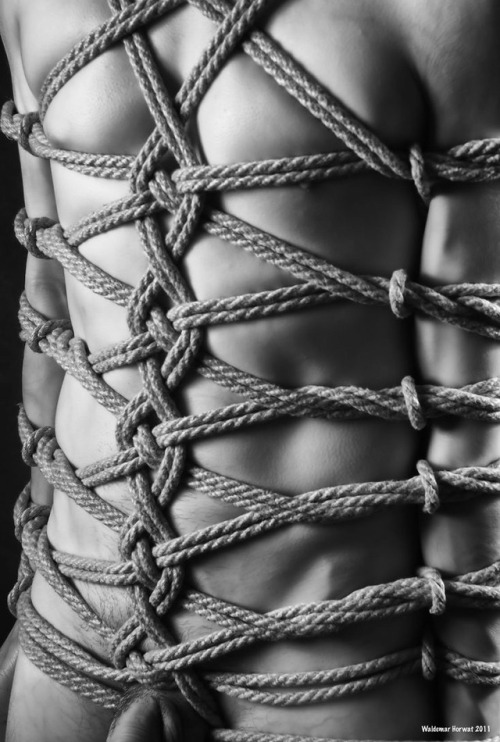 naughtydevboy: myslutbelongstome: Lovely Did I ever mention how much I love rope?
