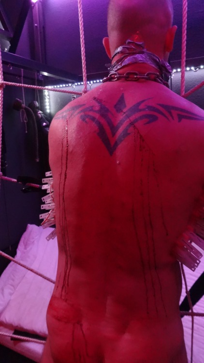 rubberdog76:  hardcore! 