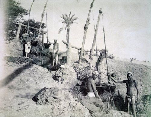 Detail of Shadufs in Upper Egypt by G Lekegian ca. 1870-90 (sepia photo).