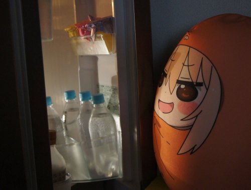 ohnoraptors:  Himouto! Umaru-chan - Almost Life-size Cushion 