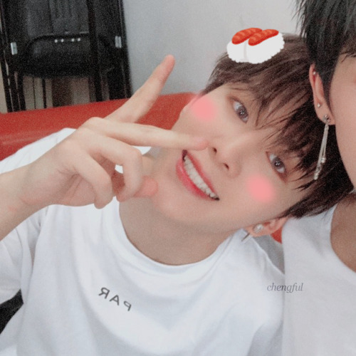 chengful: ˚₊· ͟͟͞͞➳  soft!chengcheng (+zhengting!) | twittergif ver: x do not remove/cro