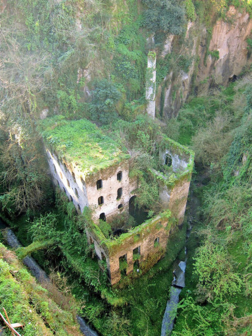 delightedobserverintraining:  burieduniverse:  kaajoo:  World’s Most Beautiful Abandoned Places Italian product manager and web designer Francesco Mugnai recently added a collection of images to his blog touting some of the most beautiful images of