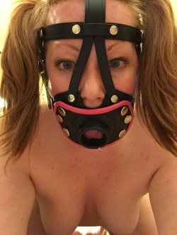 kittydenied:  Finally got my new gag harness!!