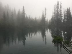 90377:  Lake in the morning mist by M Miroslav