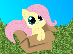 madame-fluttershy:  Fluttershy In A Box by Intet22  Hnnng &lt;333