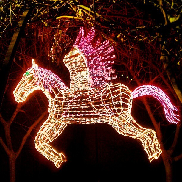 audiclian:  A horse is in the air! #RiverofLights #burque #Fluttershy? #mlp? 
