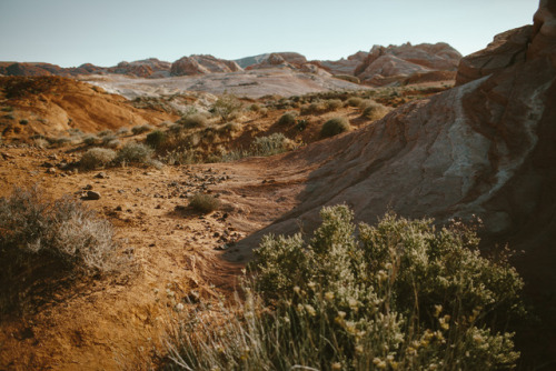 julianajohnsonphoto:Valley of Fire State Park, Nevada, Part IMay 2017