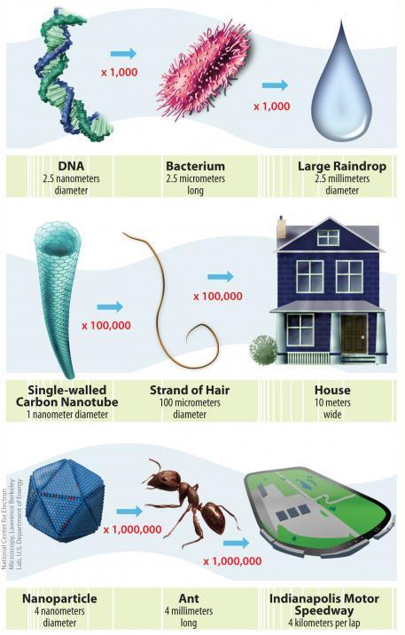 odditiesoflife:  The Size of a Nano Just how small is a “nano?” In the International System of Units, the prefix “nano” means one-billionth, or 10-9; therefore one nanometer is one-billionth of a meter. It’s difficult to imagine just how small