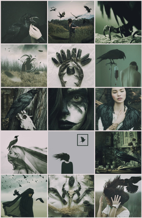 aestheticschaos:Crow Witch aesthetic