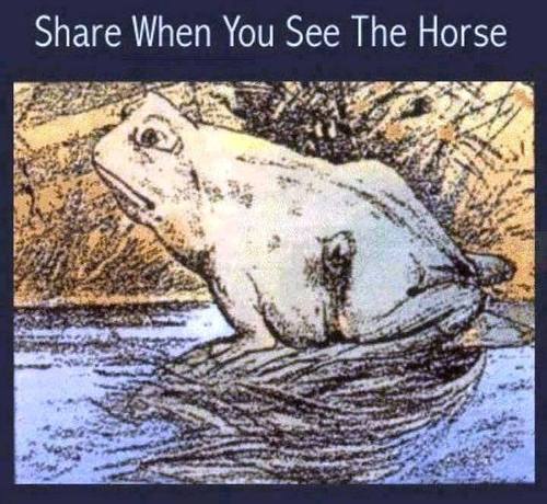 I can&rsquo;t see it!!!