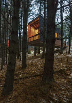 archatlas:    Whitetail Woods Cabins HGA