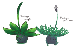 jayrockin:  did some low energy oddish variations