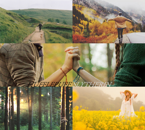 egdramaqueen:HUFFLEPUFF/SLYTHERIN–best friend Aesthetic