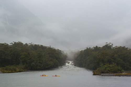 Kayakers in Milford Sound.Milford Sound, Fiordland, South Island, New Zealand