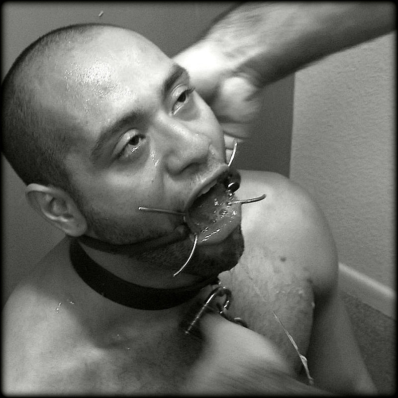 perroscalientes:  http://nuevaediciondeperros.blogspot.com/ 
