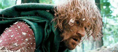santacarmilla:  Frodo? Frodo, I’m sorry! 