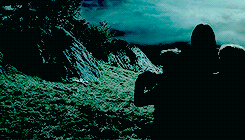 remusjohnslupin:  Harry then did something that was both very brave and very stupid.