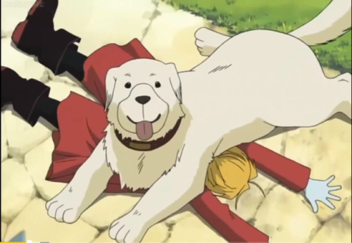 sofibeth:FMA Comparsion:        Dog Attack