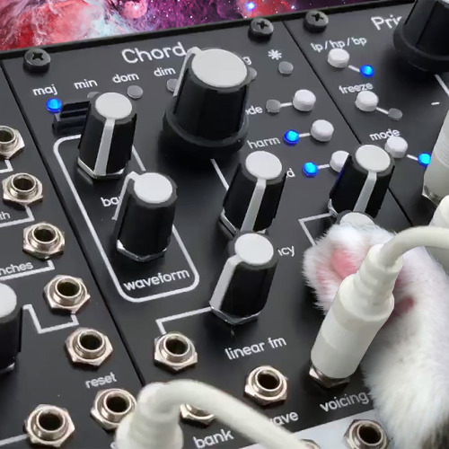 catsonsynthesizersinspace