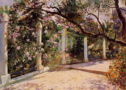 via-appia: Almond Trees, Algiers Georges