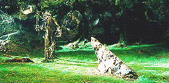 tiffaching:  lotr meme: three races → ents  &ldquo;But I have an odd feeling