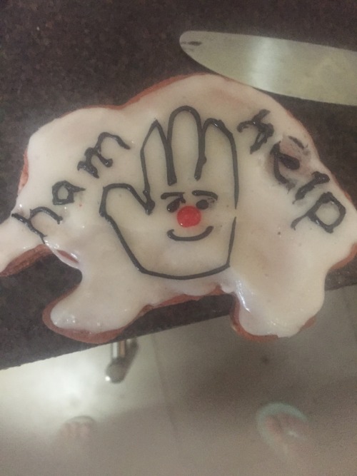 amisakadarthana: boethiah: she tried to make a hamburger helper cookie but ran out room to write ha