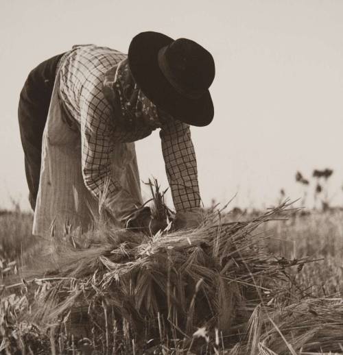  Série “Centenário do nascimento de uma vida para a fotografia - périplo temporal”. Prim