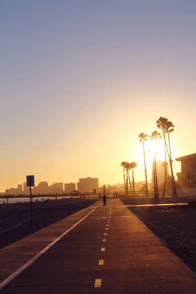 silly-luv:  ♡ find your best posts on my blog ♡