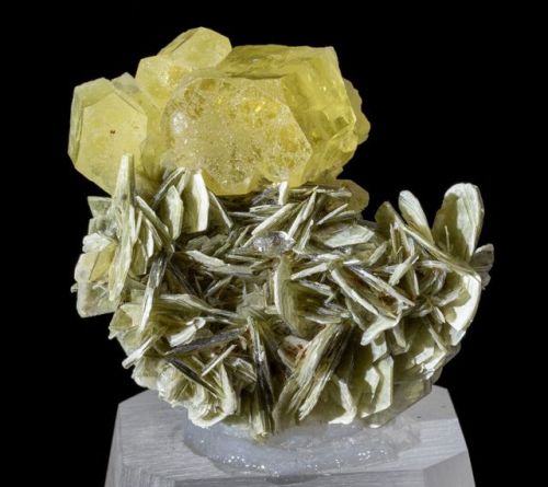 Heliodor on Muscovite - Tajikistan  