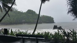 tropicale-moderne:   Hawaii Botanical Gardens, Hilo, Hawaii  